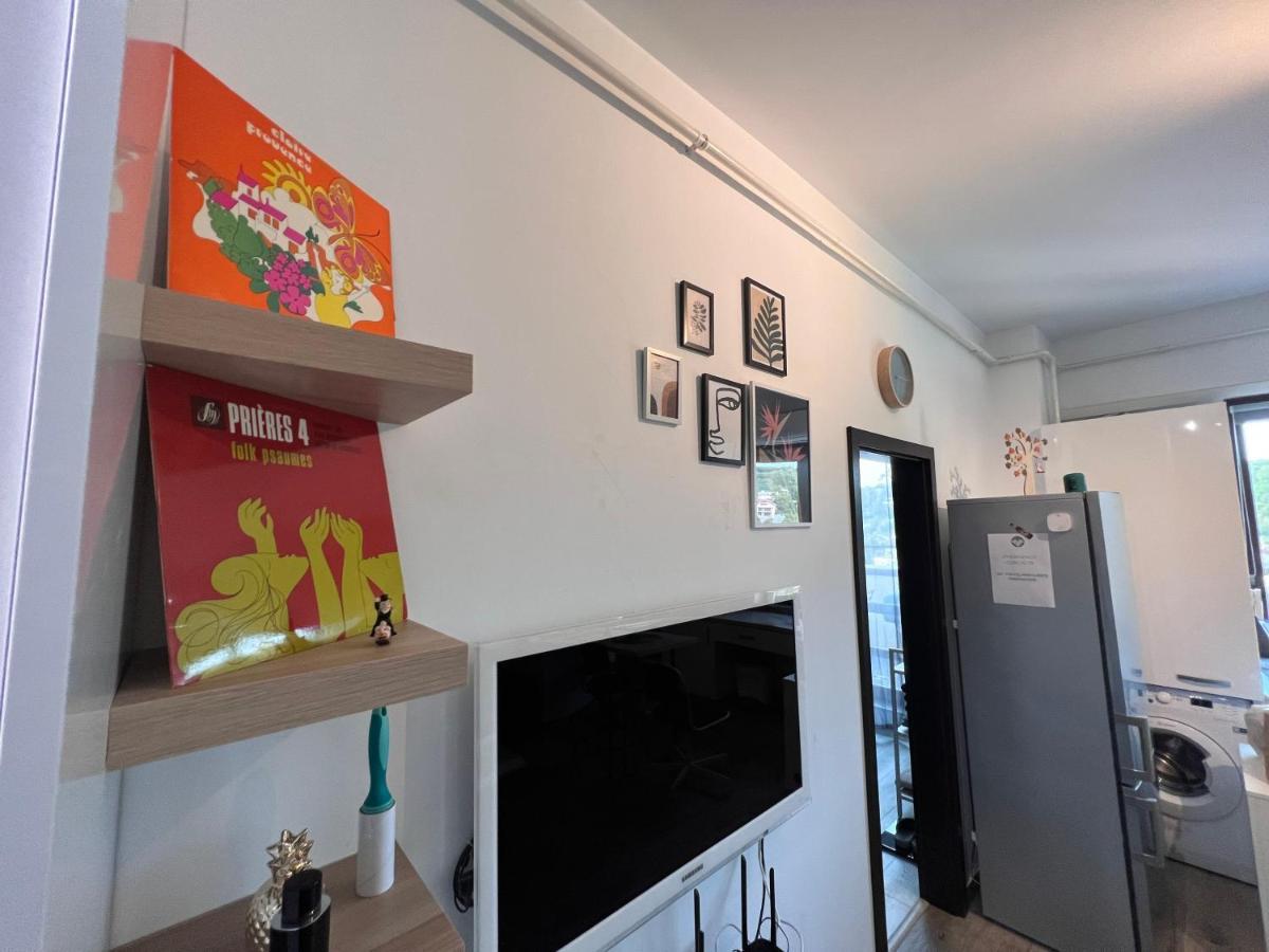 雅西Coroama'S House公寓 外观 照片